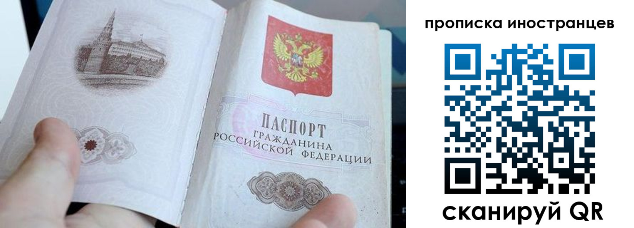 прописка поиск в Трубчевске